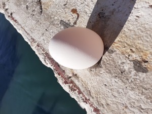 uovo-sol-diagonale
